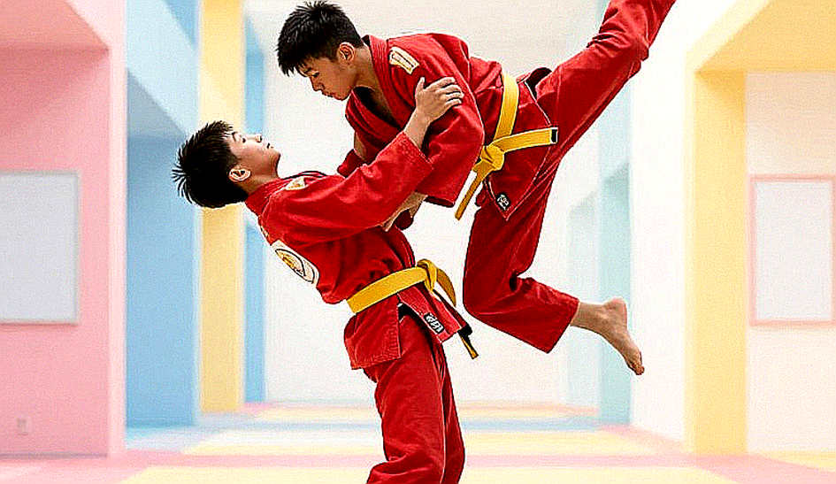 Phân Tích Sâu Về Chấn Thương Trong Võ Thuật: Thiếu Dữ Liệu Để Đánh Giá Phân Tích Sâu Về Chấn Thương Trong Võ Thuật: Thiếu Dữ Liệu Để Đánh Giá