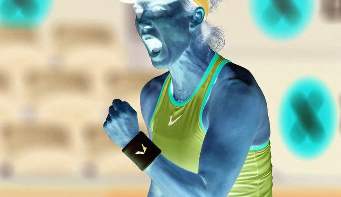 A tax directive slipped into the tennis archive: the crack in sports data labelling A tax directive slipped into the tennis archive: the crack in sports data labelling