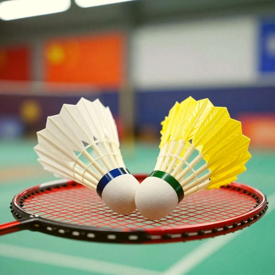 China Masters 2026: The Recovery Map of Satwik-Chirag and Srikanth's Final Fading Track China Masters 2026: The Recovery Map of Satwik-Chirag and Srikanth's Final Fading Track
